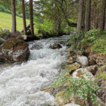 Bach fliesst durch Wald in den Alpen