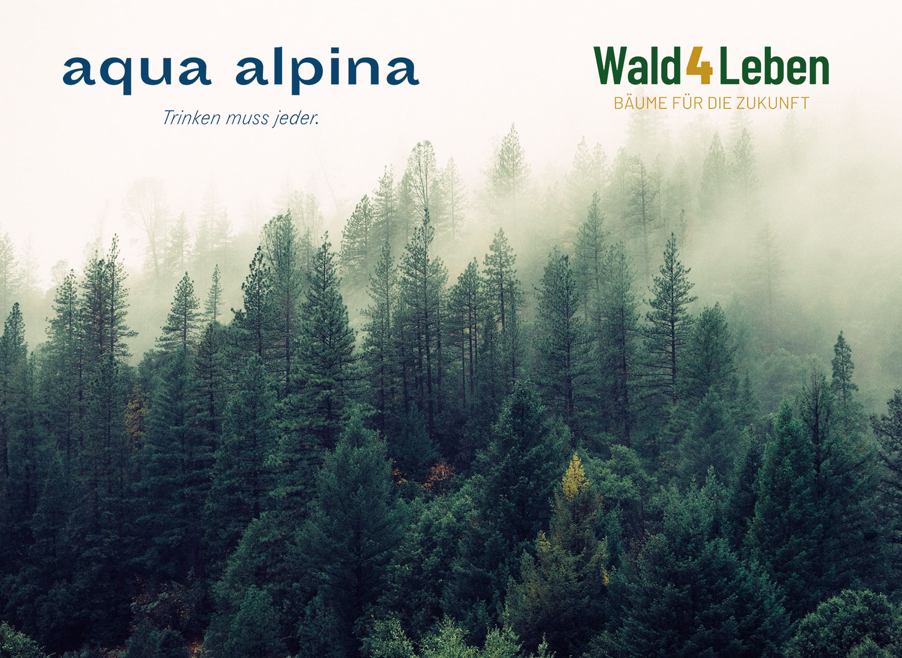 Wald Mit Logos Wald Mit Logos