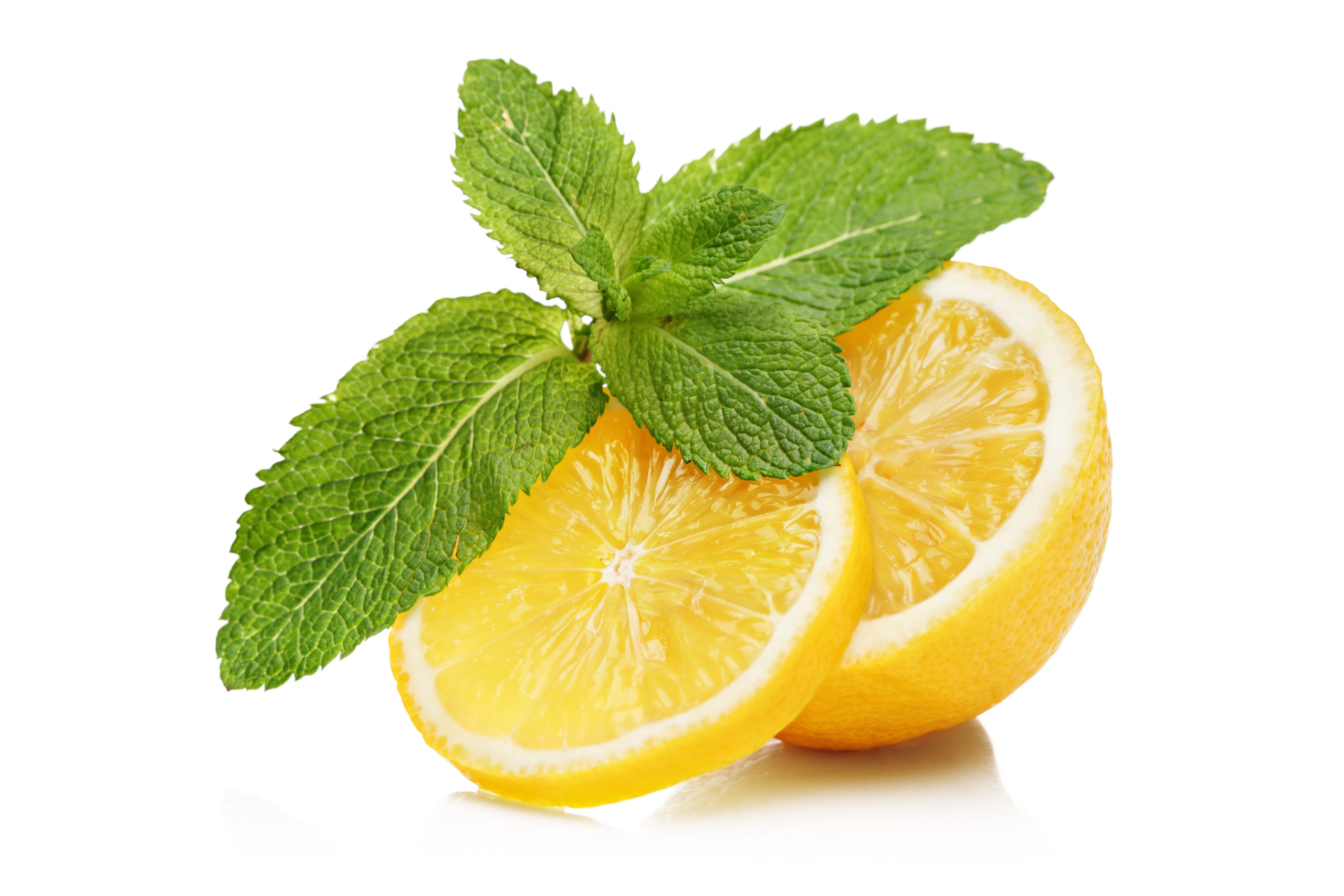 Slices Of Lemon And Mint zitrone minze kräuter
