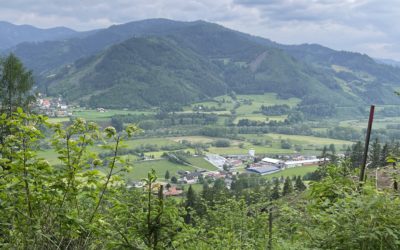 Weltumwelttag: Gemeinsam für eine nachhaltige Zukunft